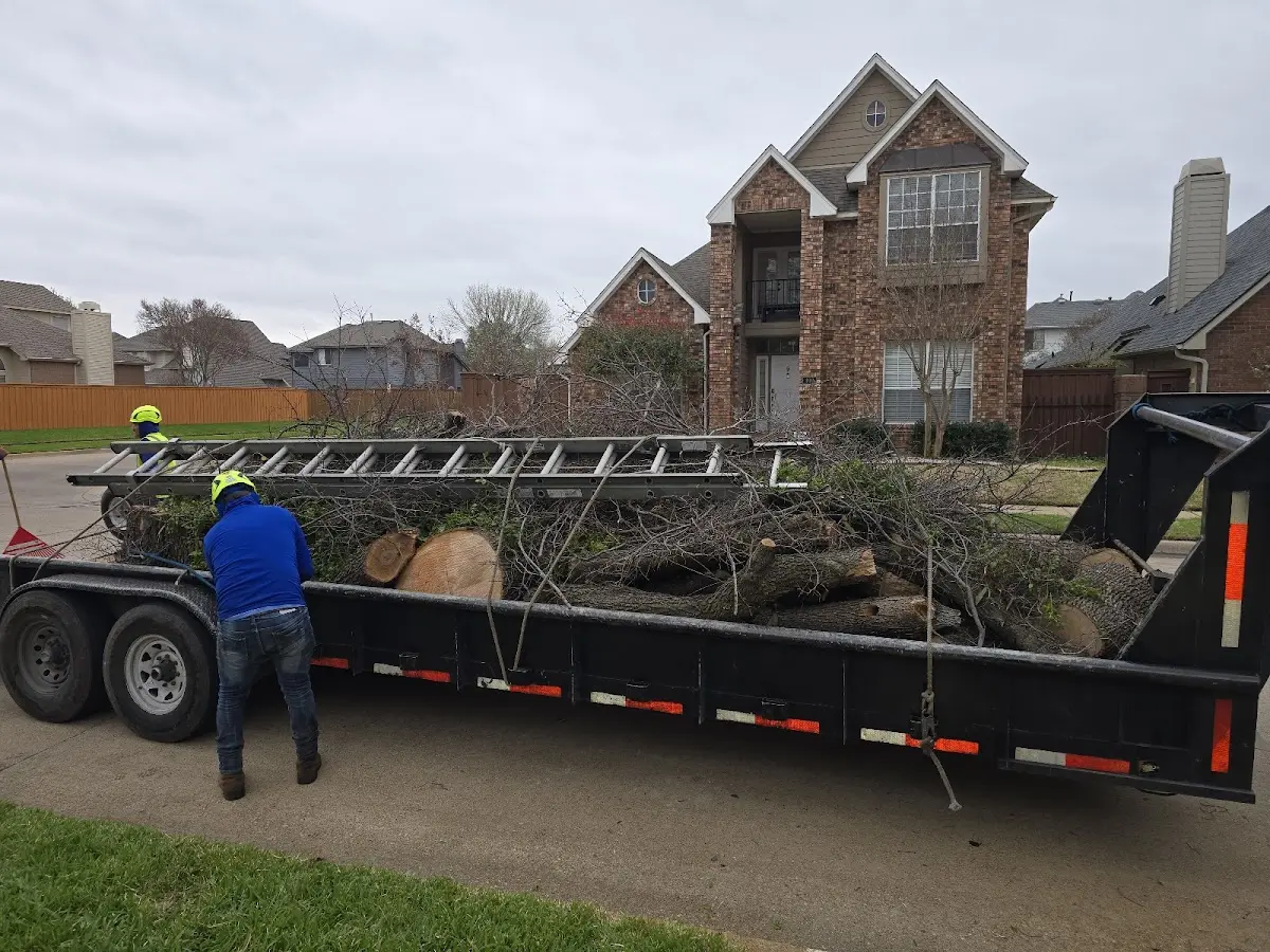 Expert Lot Clearing with proper safety equipment in Lawrenceville